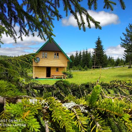 Villa Eco House Žabljak Esterno foto