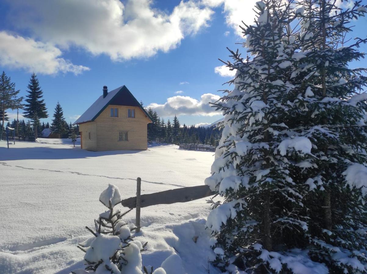 Villa Eco House Žabljak Esterno foto