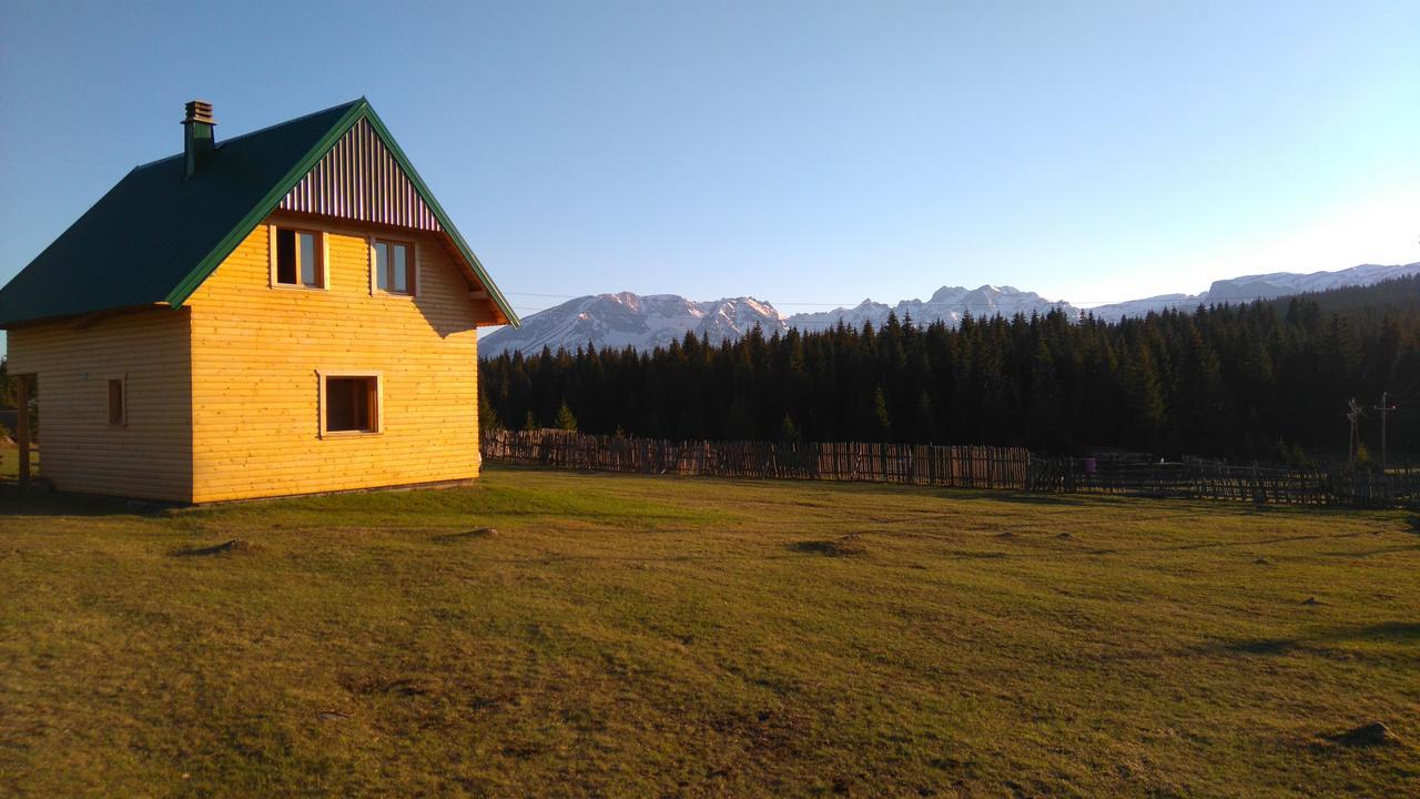 Villa Eco House Žabljak Esterno foto