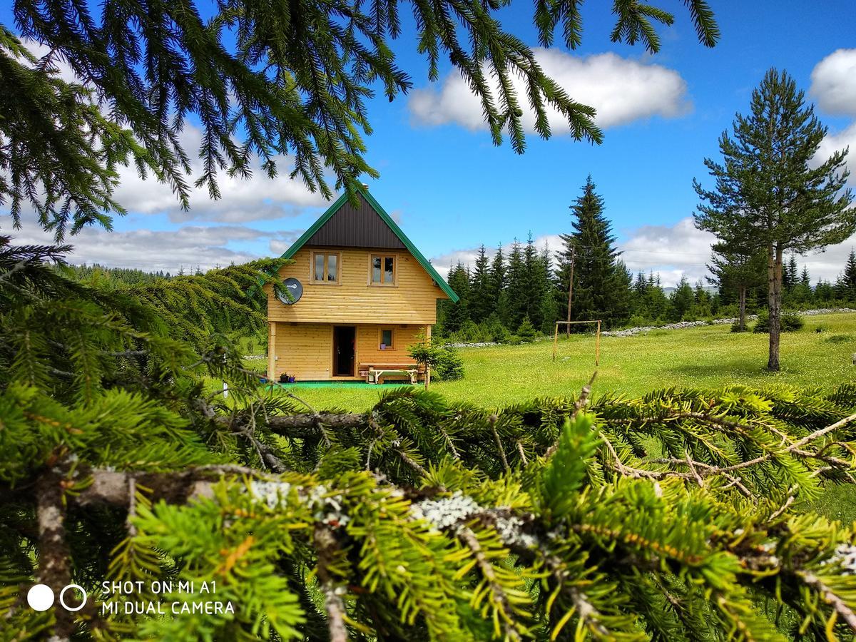 Villa Eco House Žabljak Esterno foto