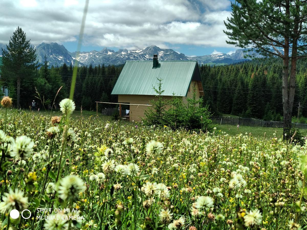 Villa Eco House Žabljak Esterno foto